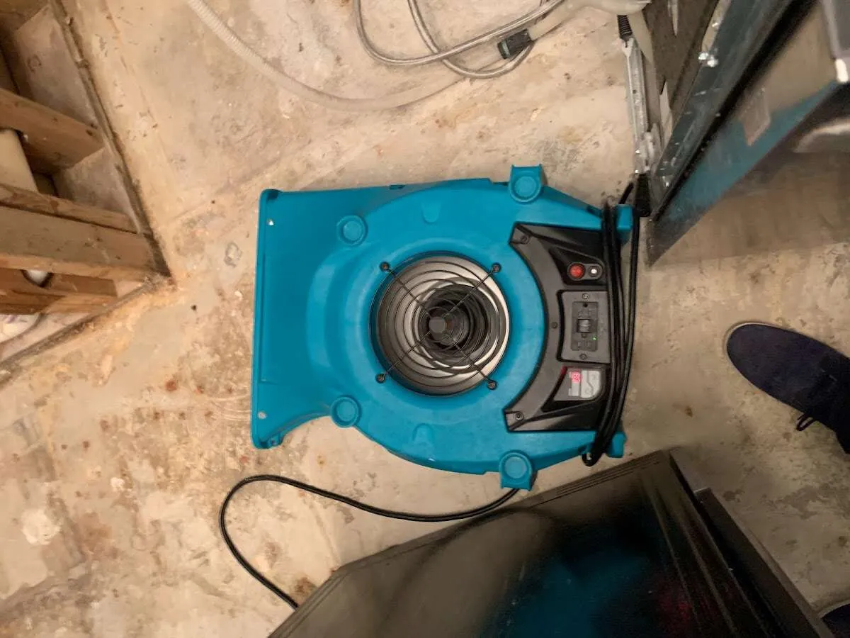 Air mover drying equipment for Mold Remediation & Removal in Dumont
