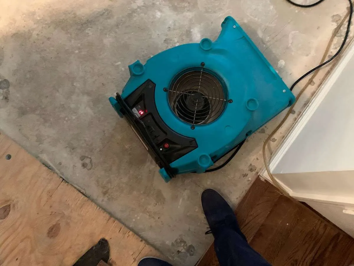 Air mover drying subfloor during Leak Detection & Repair in Dumont